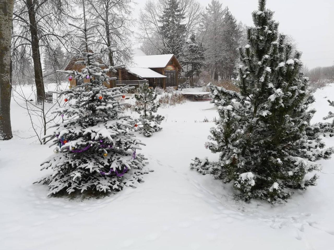 Raudonkalnis Guest House Mankiskiai Exterior foto